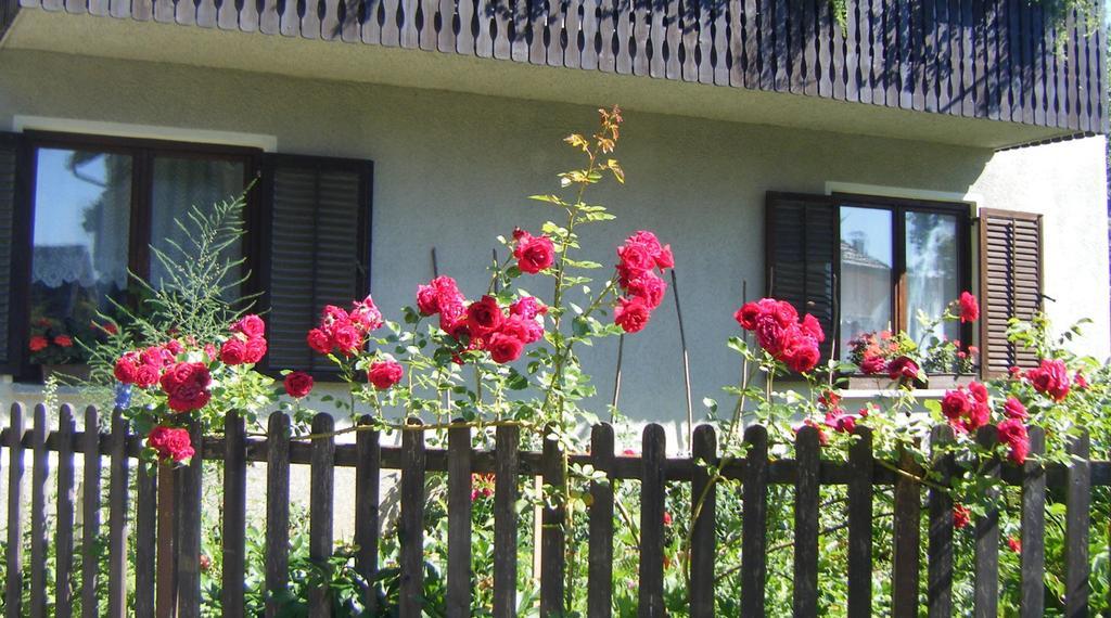 Guest House Kmetija Dane Exterior photo