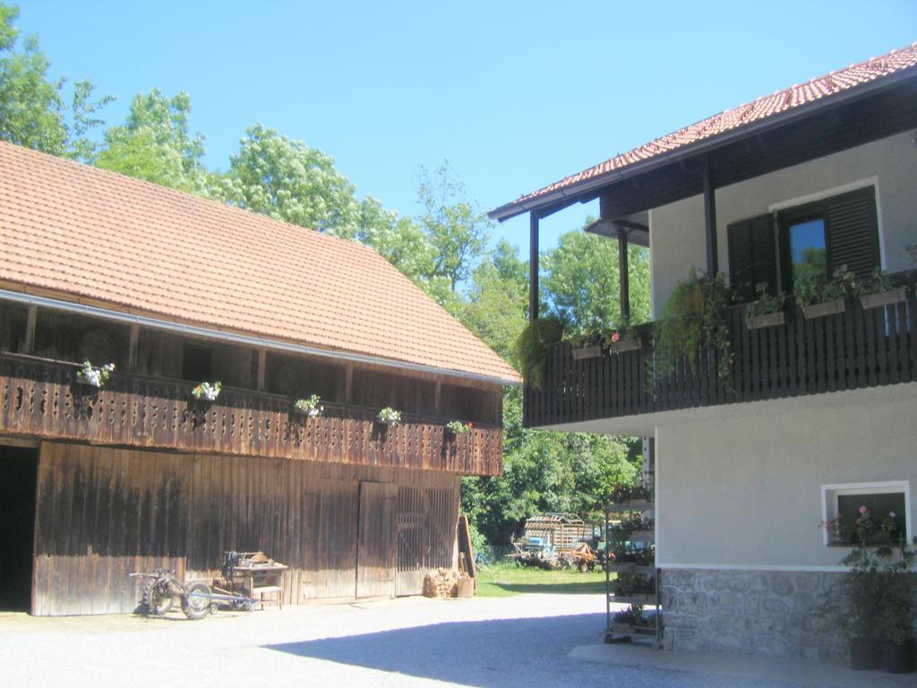 Guest House Kmetija Dane Exterior photo