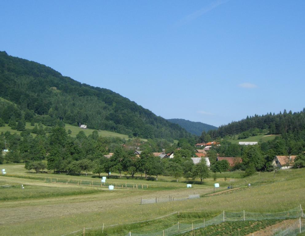 Guest House Kmetija Dane Exterior photo